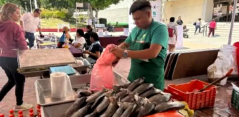 Profeco detecta variación extrema en precios del pescado sierra durante Cuaresma