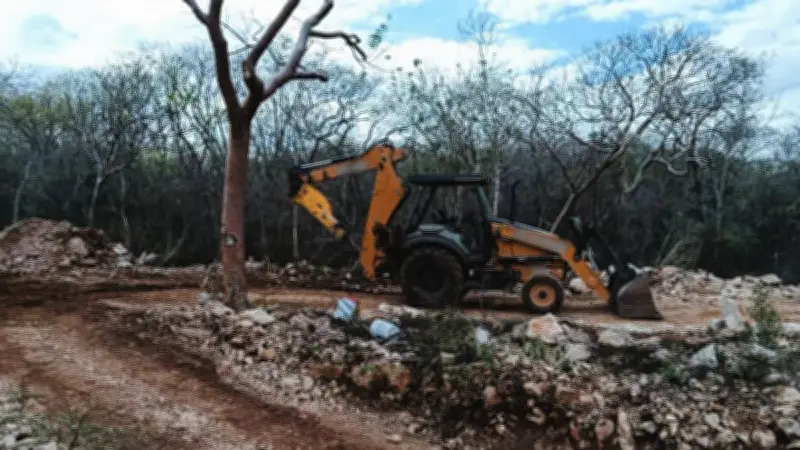 Profepa clausura desarrollo turístico en Abalá, Yucatán por daño ambiental grave