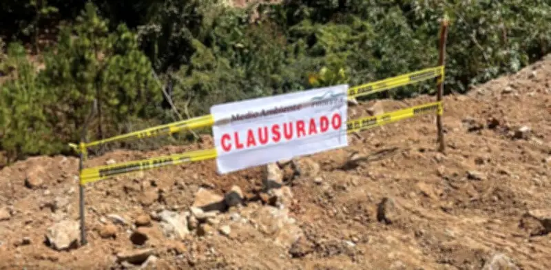 Profepa clausura obras irregulares en Área Natural Protegida de Valle de Bravo