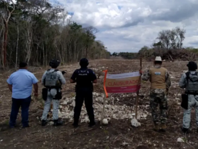 Profepa clausura zona de Calakmul por deforestación ilegal en Campeche