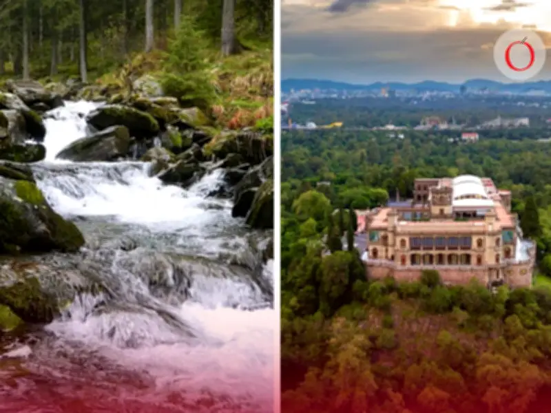 Proyecto ambicioso: planean crear río natural en la Cuarta Sección del Bosque de Chapultepec