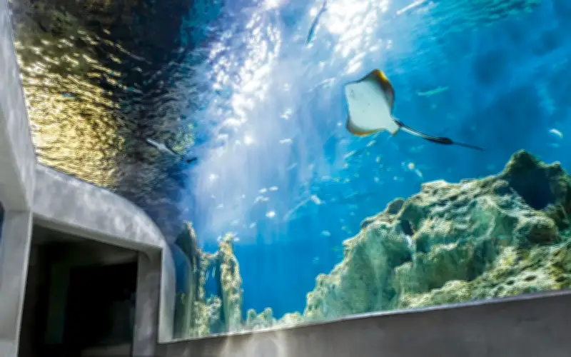 Puente de mayo en Guadalajara: parques, museos y recorridos urbanos