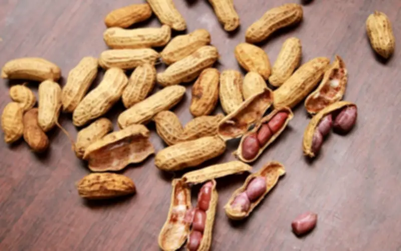 ¿Qué Ocurre al Consumir Cacahuates Diariamente? Beneficios y Precauciones