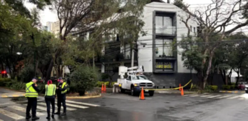 Rama derribada causa cortocircuito y suspensión eléctrica en San José Insurgentes