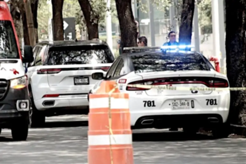 Realizan 3 cateos por ejecución en Arboleda