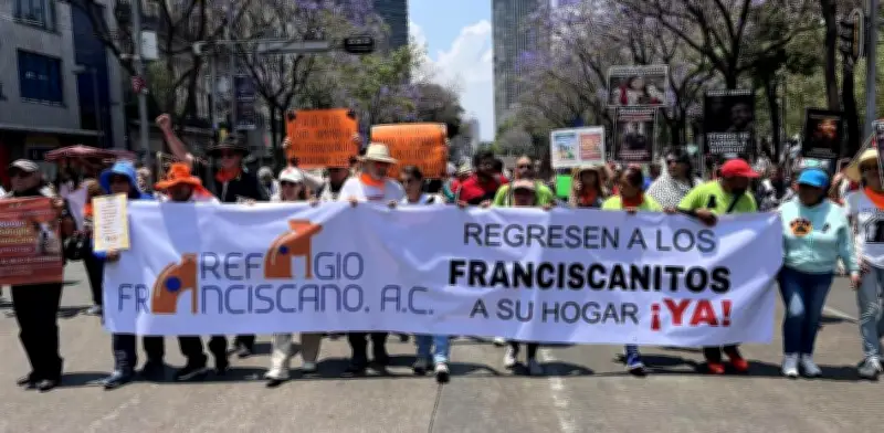 Refugio Franciscano anuncia bloqueos en Reforma para exigir devolución de más de 800 animales