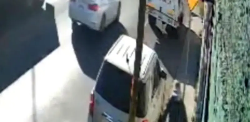 Repartidores de gas roban cachorro Rottweiler en Tlaxcala; dueña pide ayuda