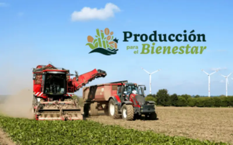 Requisitos para recibir el pago de Producción para el Bienestar 2026
