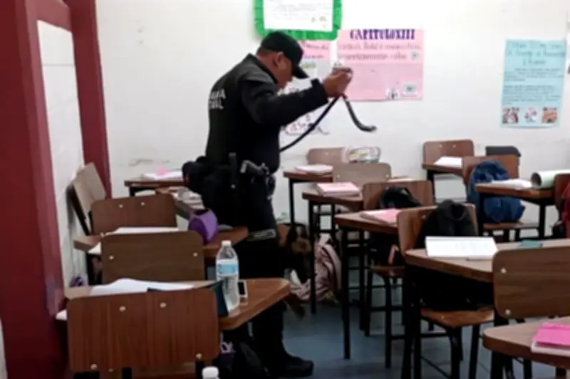 Revisan aulas con binomios caninos en Tamaulipas