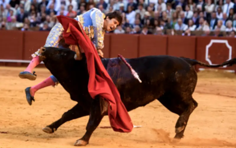 Roca Rey, hospitalizado tras grave cornada en Sevilla