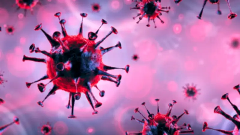 Sarampión en México: 36 muertes y casi 15 mil casos confirmados por brote activo