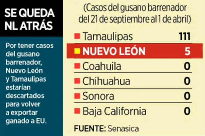 Se complica la reapertura de EU al ganado mexicano tras hallazgo de aftosa en Chiapas
