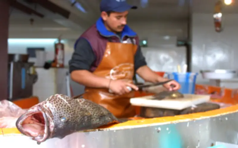 Semana Santa 2026: Caída del 40% en ventas de pescado pone en riesgo a pescaderías mexicanas