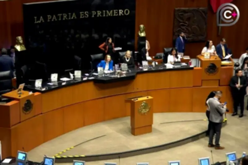 Senado Aprueba Ley de Inversión Mixta para Impulsar Infraestructura Nacional