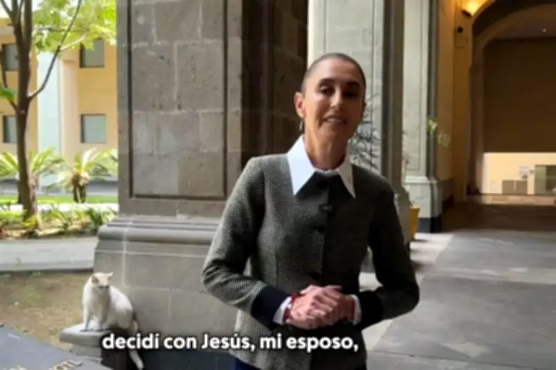 Sheinbaum Aprovecha Descanso para Reunión Familiar y Planificación Estratégica