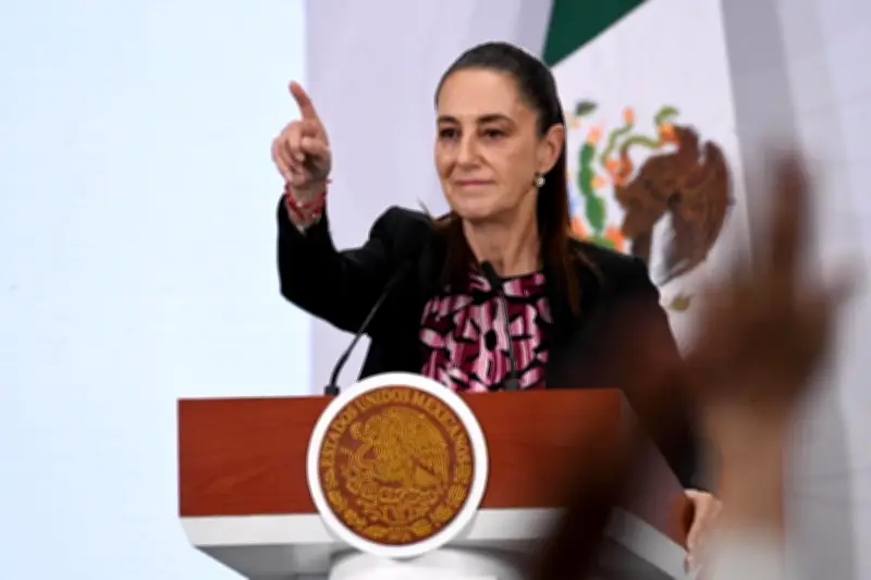 Sheinbaum se reunirá con Comité ONU sobre Desapariciones Forzadas