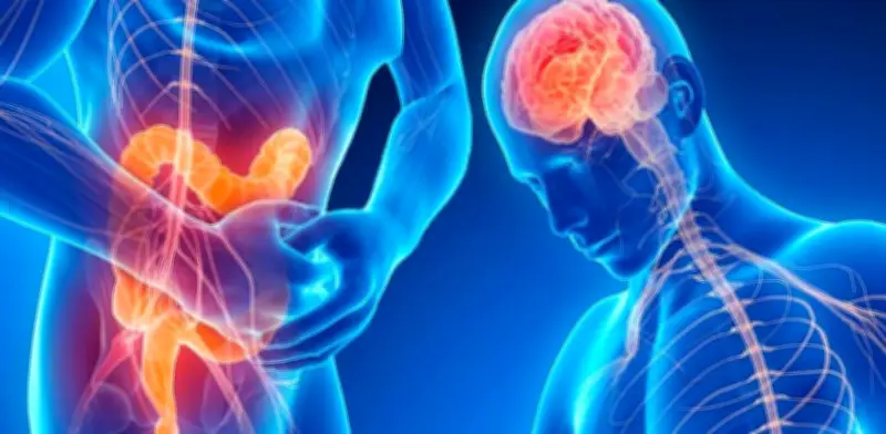 SII: manejo integral con Enterokan® y cambios en estilo de vida