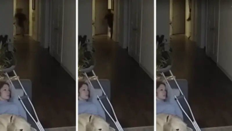 Sombra de niño atraviesa pared y espanta a perro en video viral