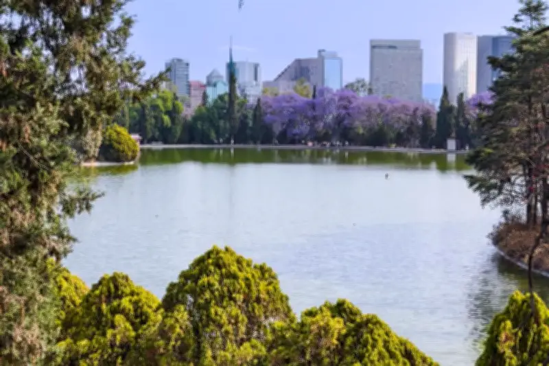 Sumérgete en Chapultepec: Arte, Música y Magia Natural en el Corazón de la Ciudad
