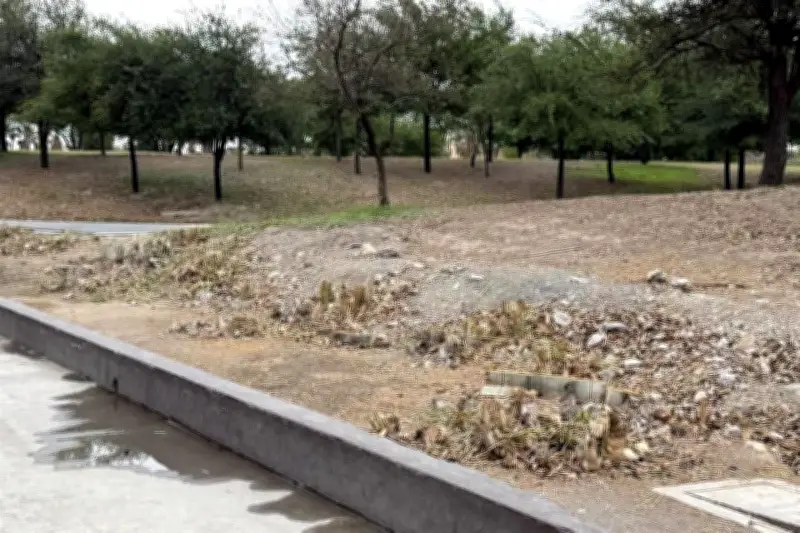 Talán Zona de Bambúes en Paseo Santa Lucía: Daño Ecológico en Monterrey