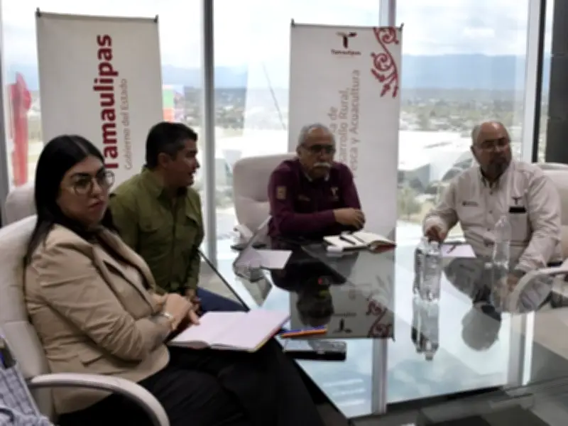 Tamaulipas impulsa proyecto ejecutivo para fortalecer sector ganadero y producción de carne