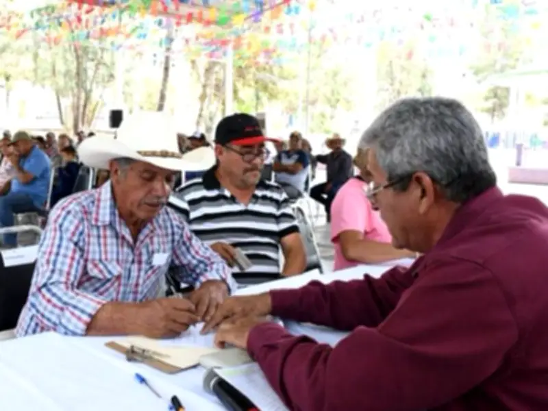 Tamaulipas lanza programa S107 para impulsar el sector citrícola con subsidios totales