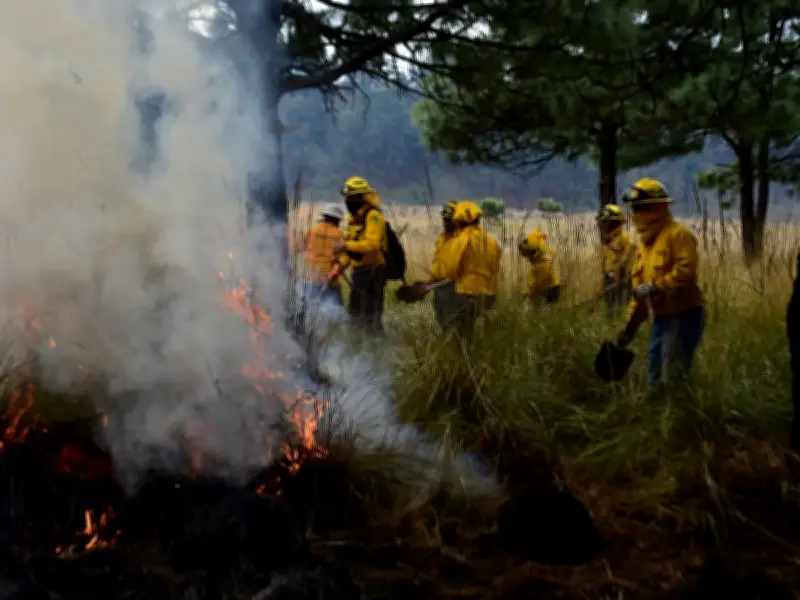 Teléfono Rojo de Edomex: Línea vital contra incendios forestales