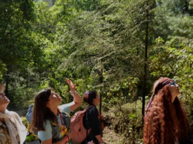 TierraFest 2024: Un Festival de Esperanza y Acción Climática en la CDMX