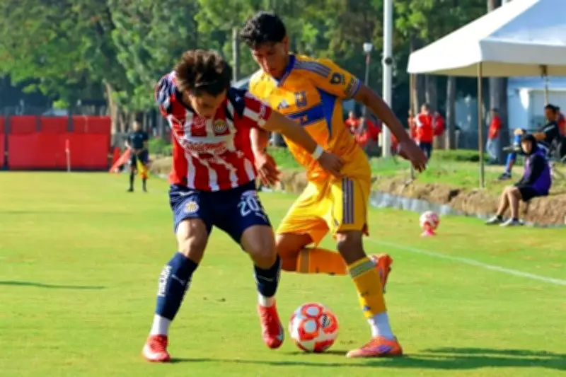 Tigres Femenil y Sub-20 Dividen Resultados en Sus Respectivos Encuentros