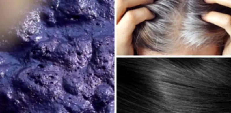 Tinte Natural para Cabello Negro: El Secreto Botánico que Elimina Canas Rebeldes