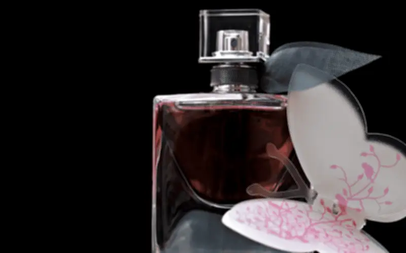 Top 5 de perfumes baratos con aroma a lujo y elegancia para el verano