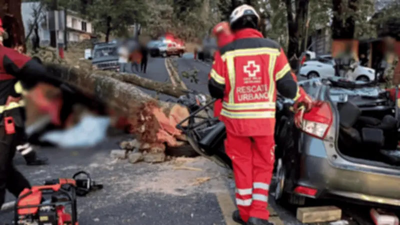 Tragedia en la México-Cuernavaca: Árbol cae y deja tres muertos y un herido en Huitzilac