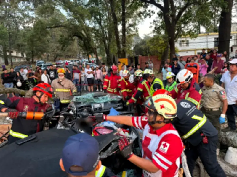 Tres fallecidos y tres heridos tras caída de árbol en carretera México-Cuernavaca