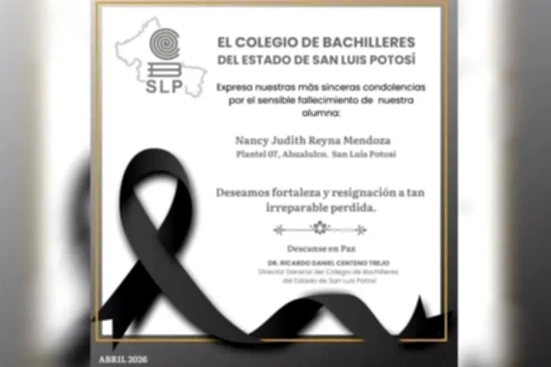 Tres Hermanos Menores Fallecen en Trágico Accidente de Tránsito en Carretera