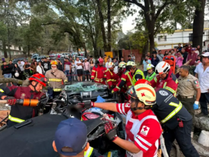 Tres muertos y tres heridos por caída de árbol en carretera México-Cuernavaca