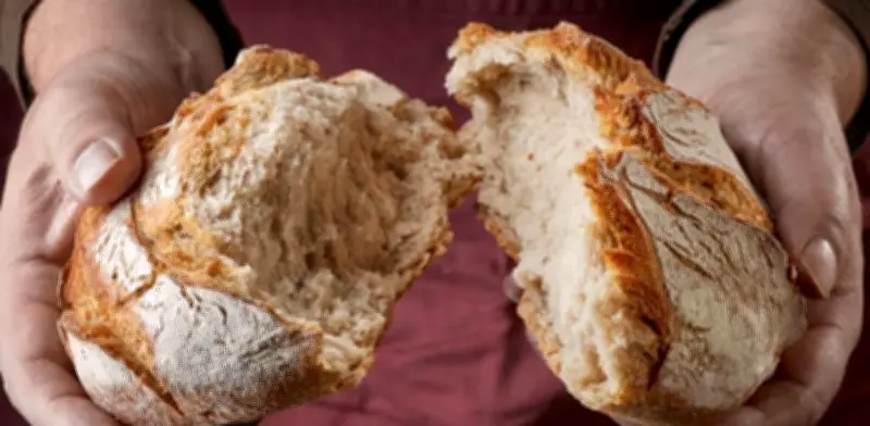 Trucos infalibles para recuperar el pan duro y evitar el desperdicio alimentario