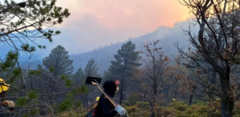 Turistas provocan tres incendios forestales en Chihuahua durante Semana Santa