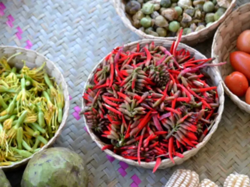 UNAM identifica 42 plantas silvestres alimenticias en la Mixteca Alta de Oaxaca