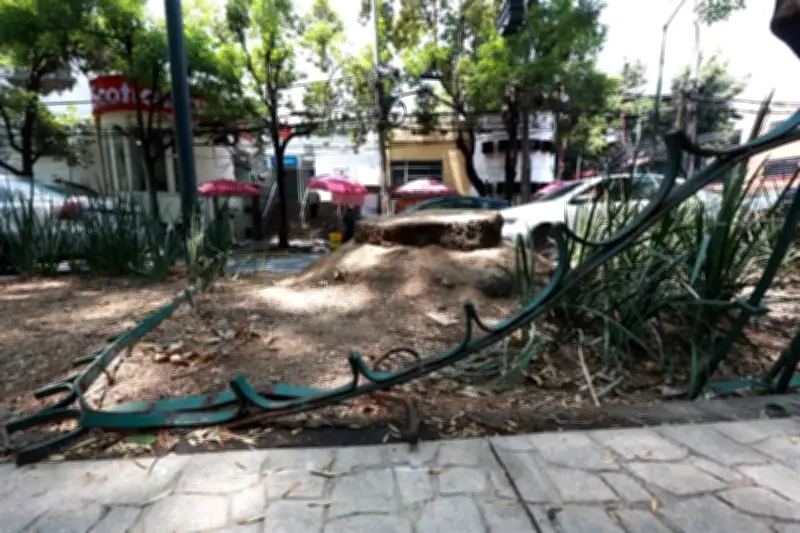 Vecinos de la Condesa exigen reparación de daños tras retiro de palmeras