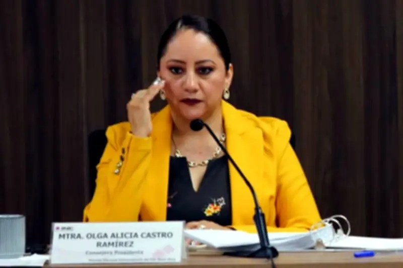 Vocal Ejecutiva de Nuevo León Aspira a Consejería del INE en Proceso Clave