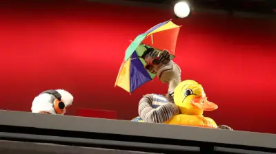 31 Minutos en el Zócalo: canales TV abierta para ver concierto EN VIVO