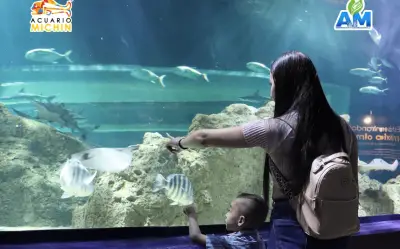 Acuario Michin Guadalajara: promoción especial para el Día de las Madres