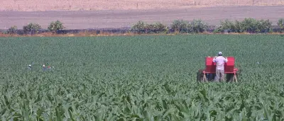 Alza de fertilizantes golpea al campo mexicano y amenaza precios de alimentos