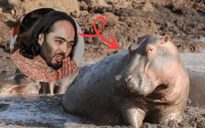 Anant Ambani ofrece salvar 80 hipopótamos de Escobar en Colombia