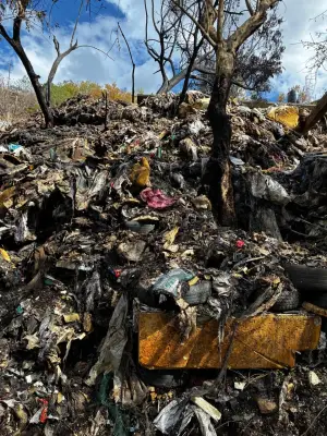 Artistas evocan a Francisco Toledo tras incendio en basurero clandestino de San Agustín Etla