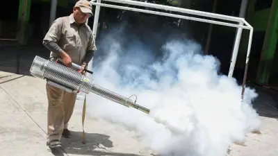 Autoridades confirman primeras muertes por dengue en 2026 en México