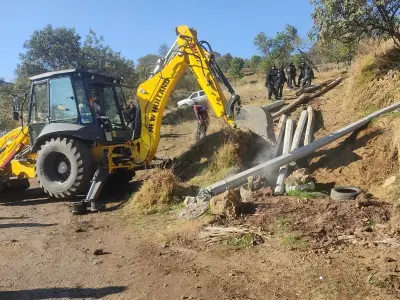 Autoridades recuperan seis hectáreas de suelo de conservación en Tlalpan y Milpa Alta