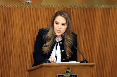 Avanzan en la implementación de una alerta ambiental obligatoria en México