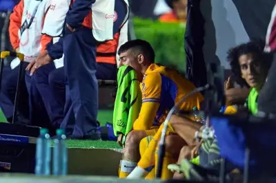 Brunetta reconoce su potencial para mejorar en el equipo nacional de México