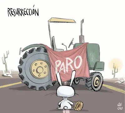 Cartuchos de Tinta: Un Desafío para la Sostenibilidad y el Consumo Responsable